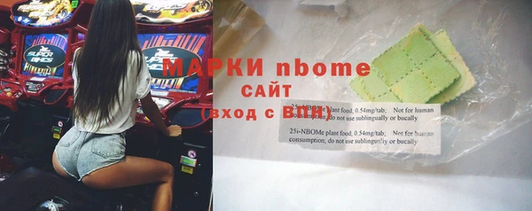 стаф Алзамай