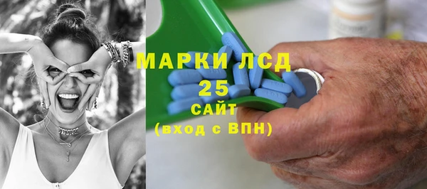 стаф Алзамай